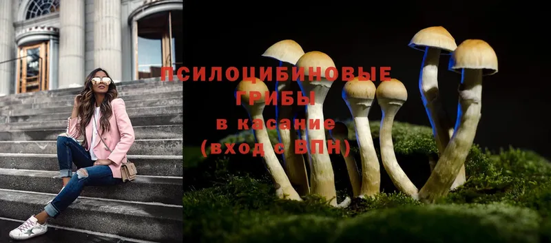 Псилоцибиновые грибы Psilocybine cubensis  kraken зеркало  Воркута 